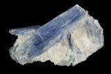 Vibrant Blue Kyanite Crystal Cluster - Brazil #97955-1